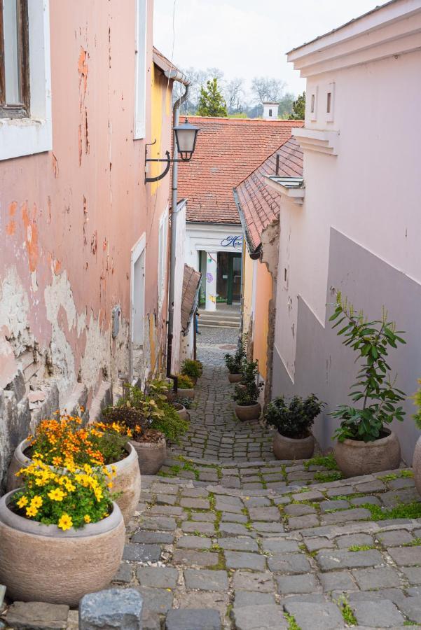 Lotus Apartment Szentendre Exteriér fotografie
